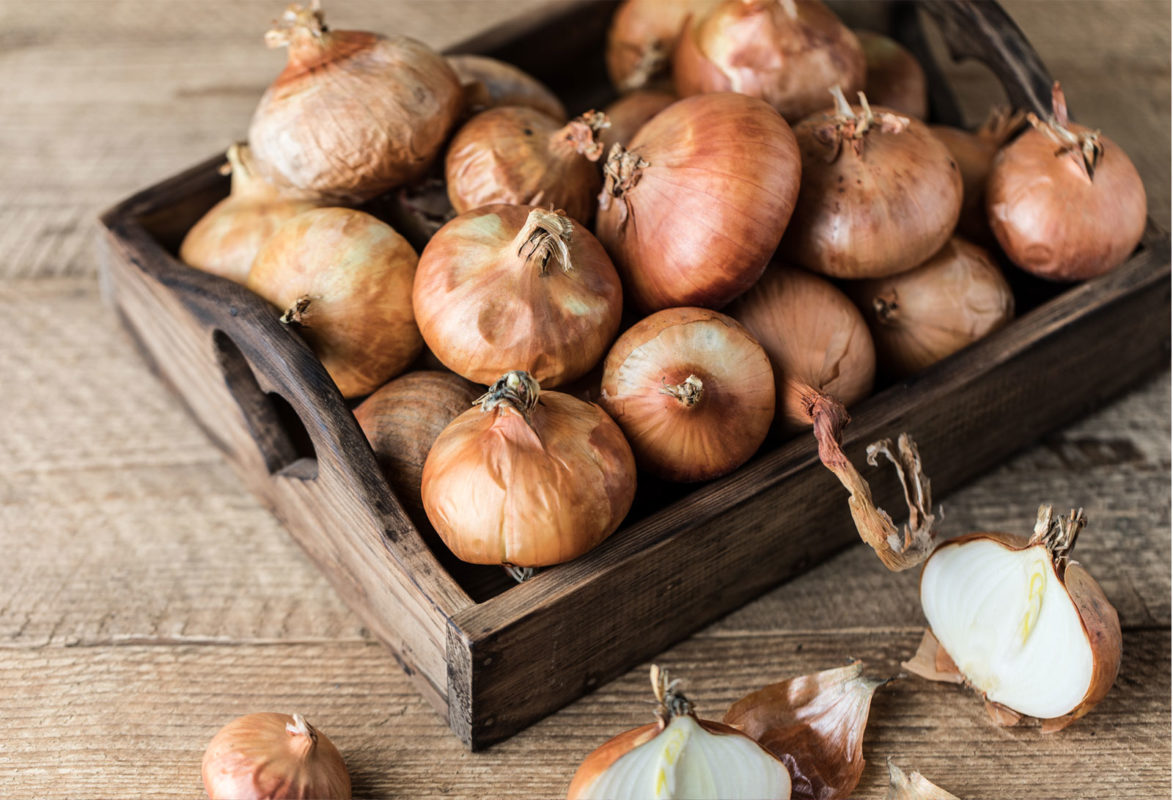 negative pranic food - garlic and onion