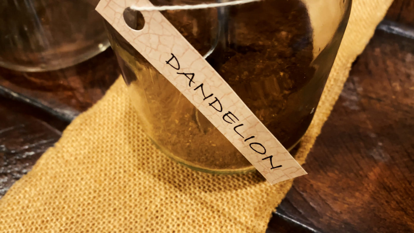 Dandelion Root Coffee Alternative