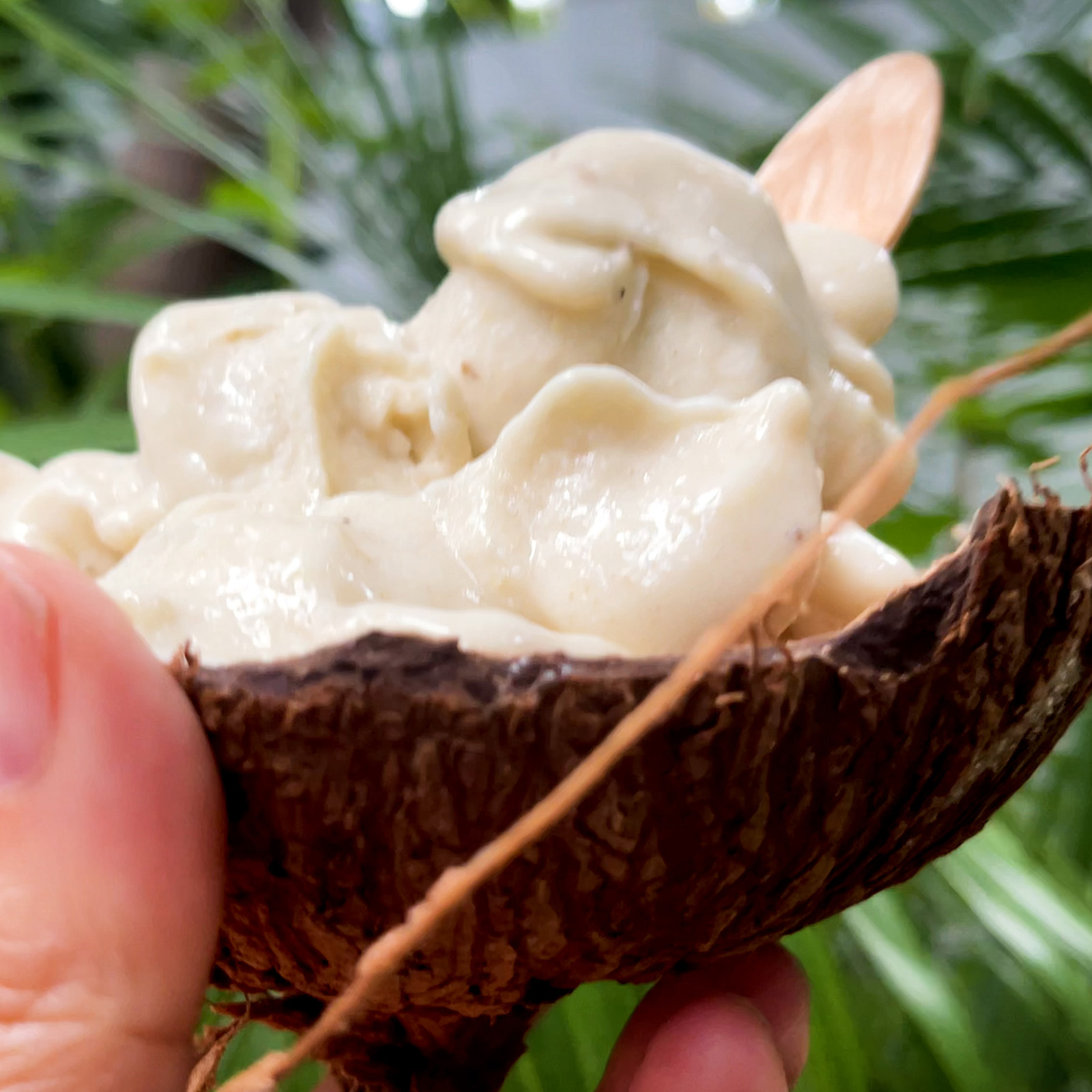 Coconut / Banana ice cream