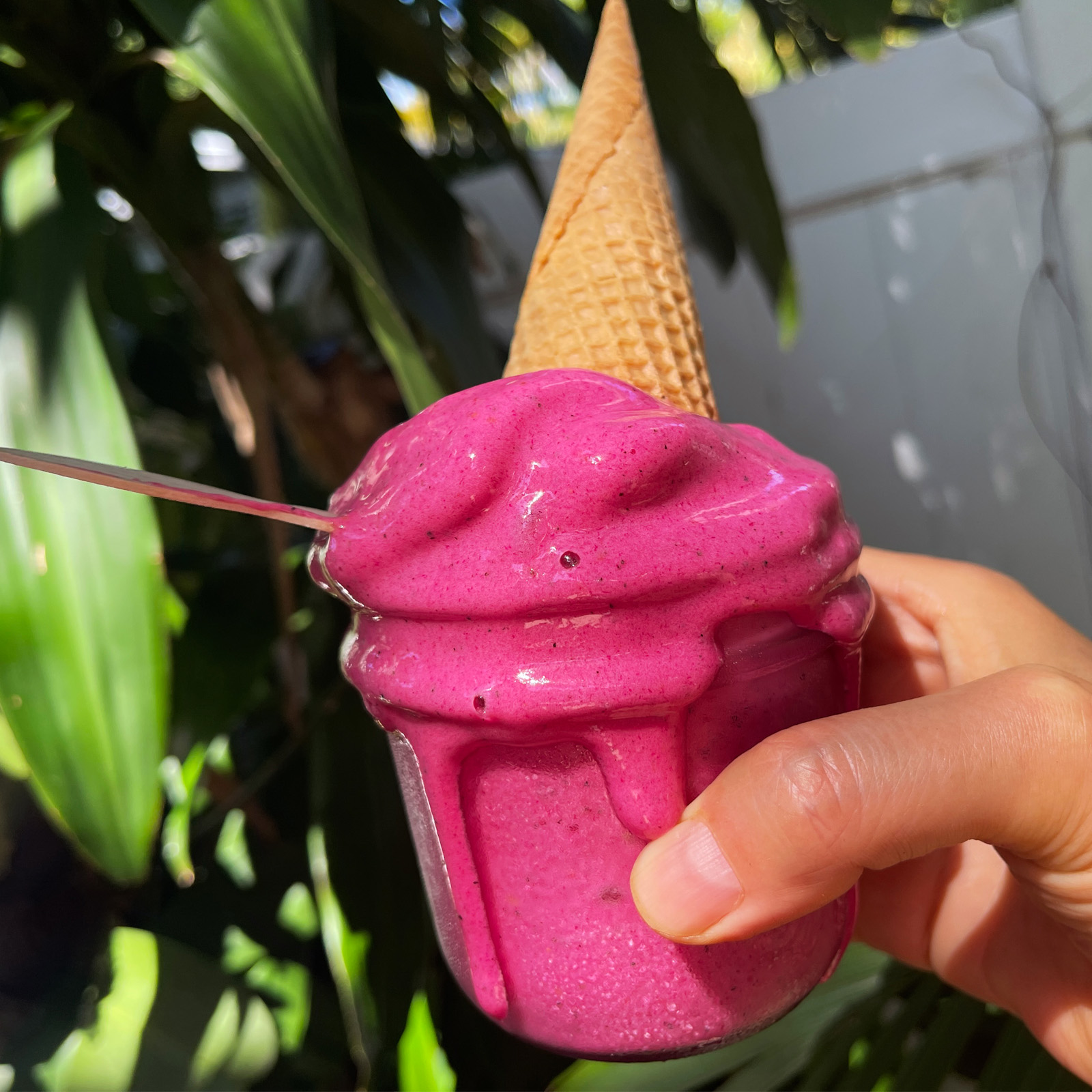 Banana / pitaya (dragon fruit) Ice cream