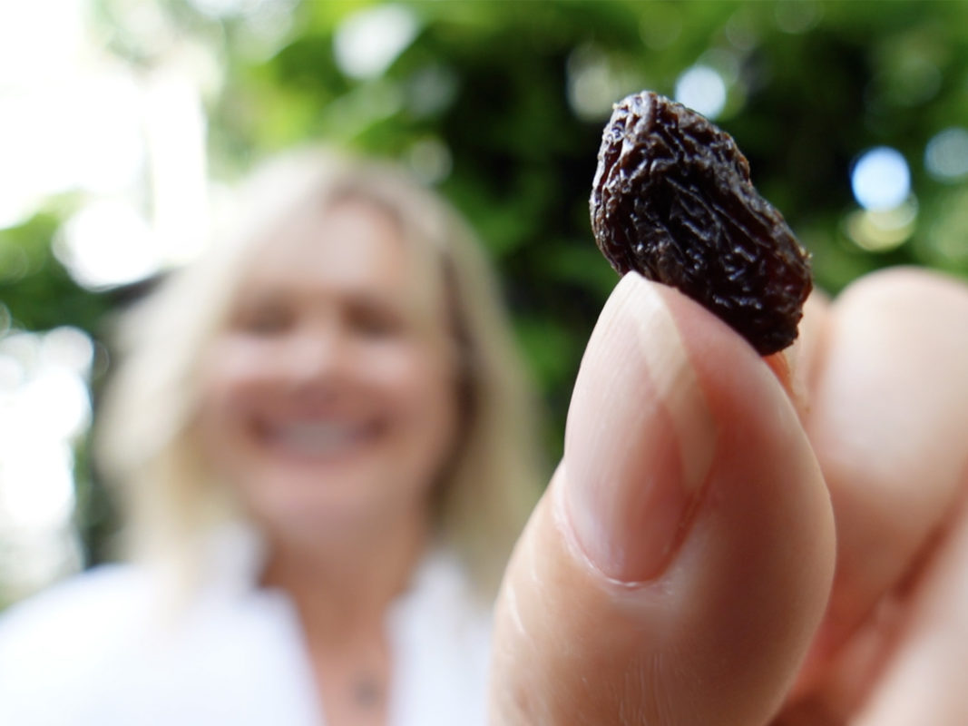 The Raisin Experience is Mindful eating meditation