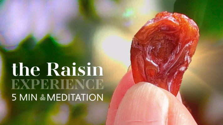 The Raisin Exercise: Mindful Eating Meditation for Beginners