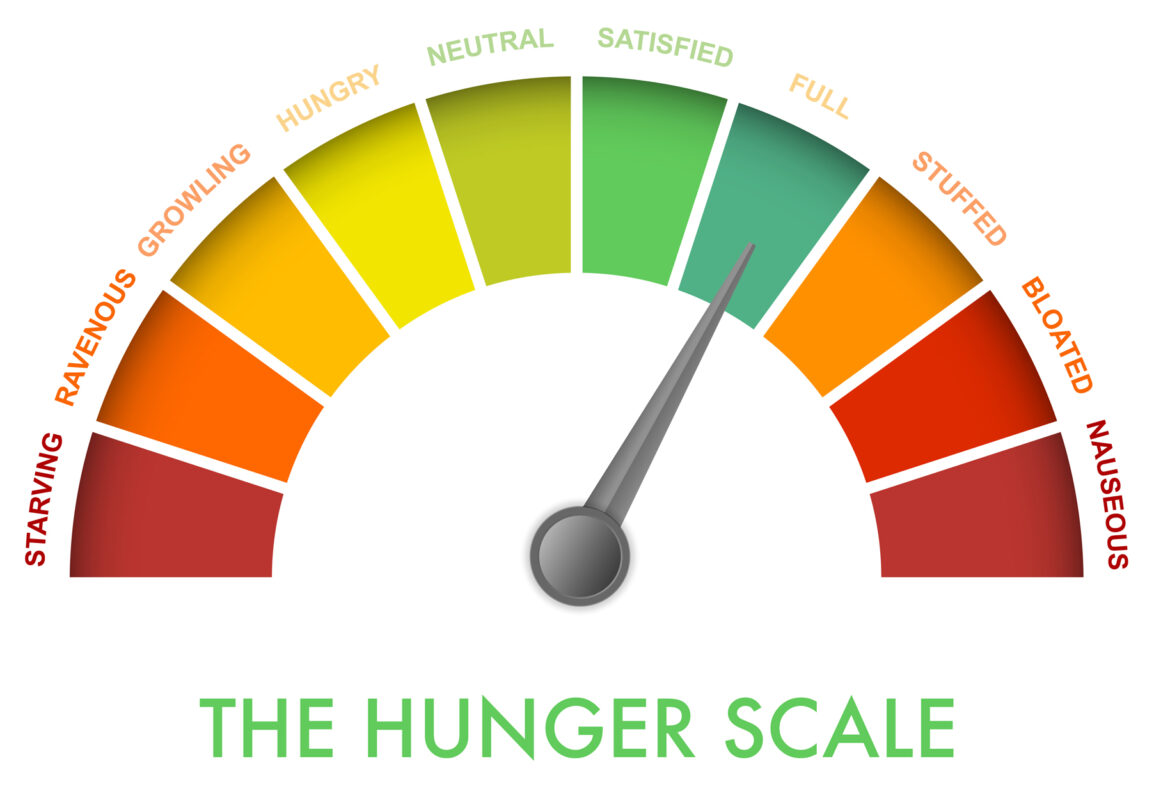 the hunger scale